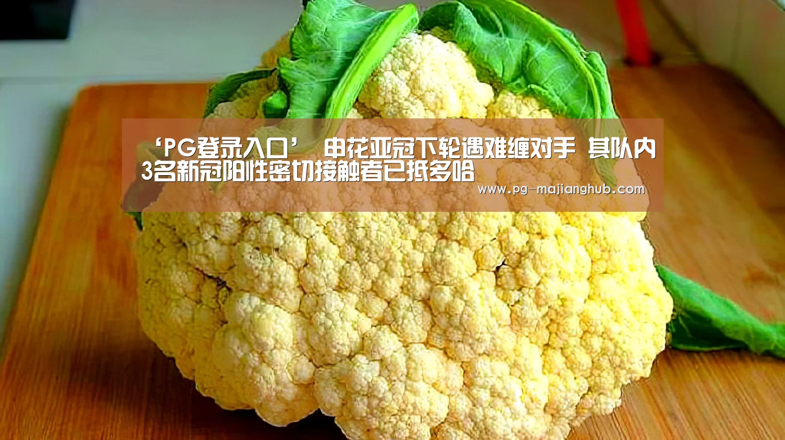 PG登录入口