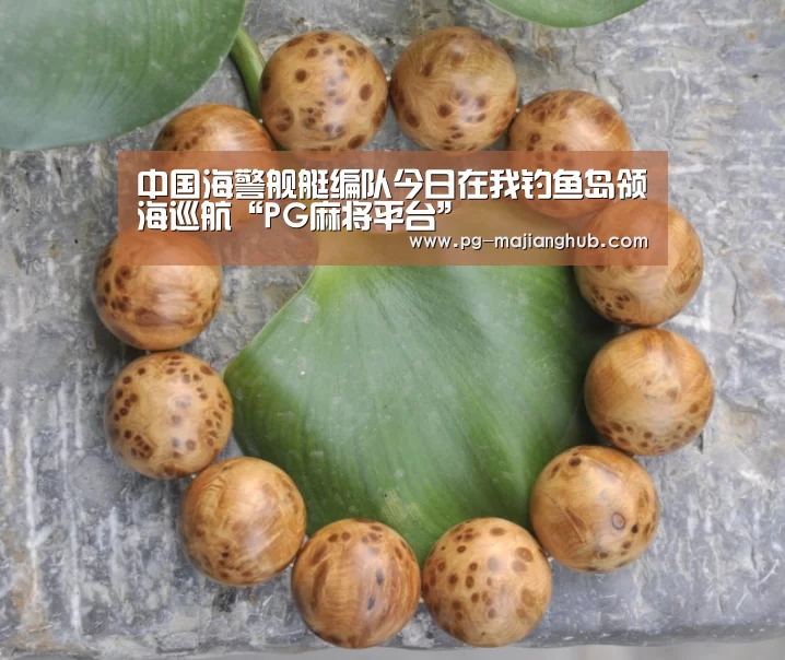 中国海警舰艇编队今日在我钓鱼岛领海巡航“PG麻将平台”(图1) PG麻将官网