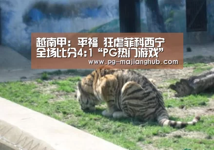 越南甲: 平福 狂虐菲科西宁 全场比分4:1“PG热门游戏”(图2) PG热门游戏