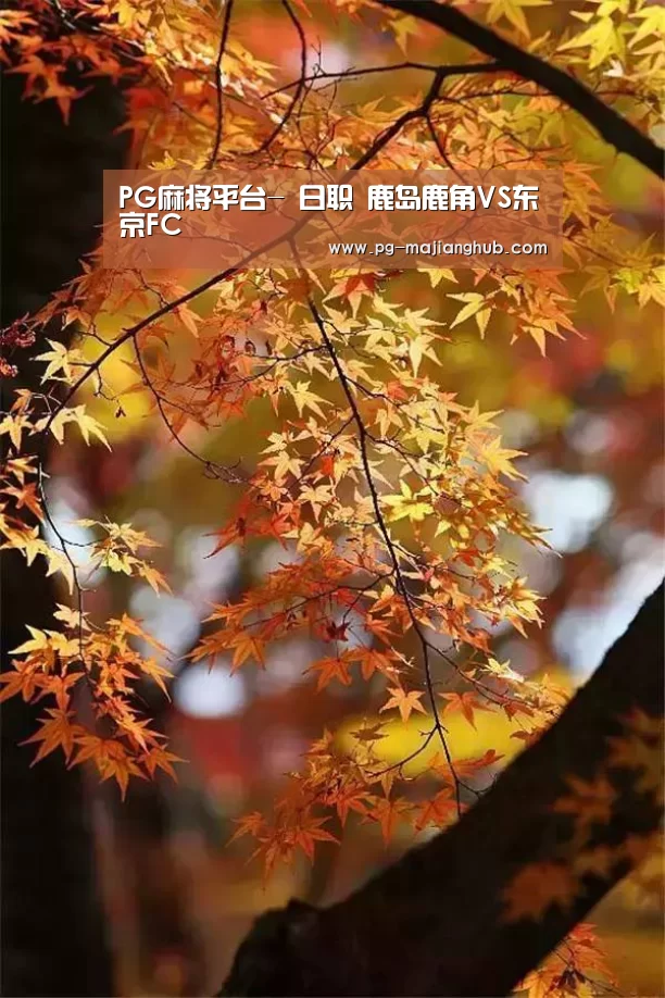 PG麻将平台